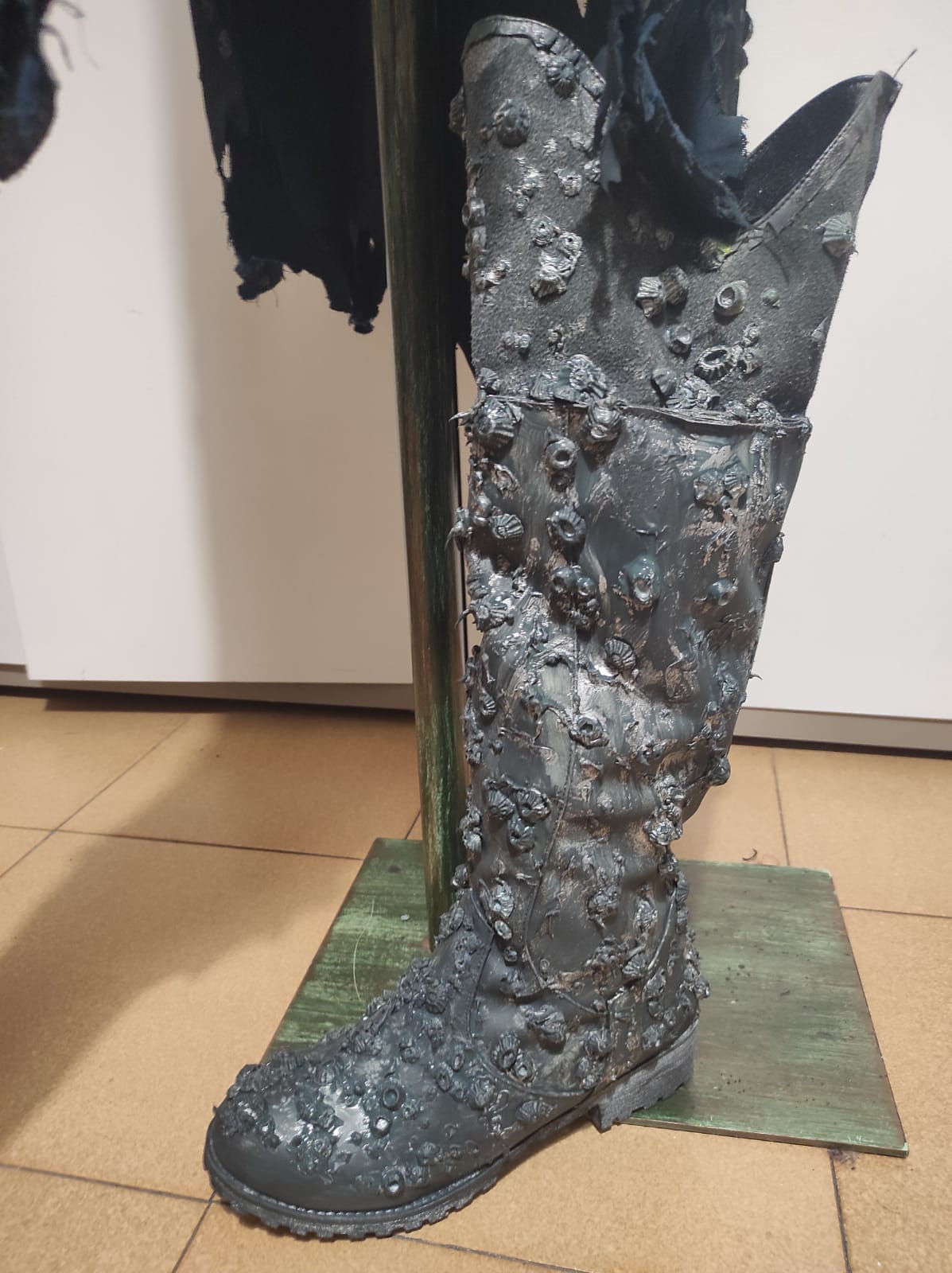 Barnacle 3D print model set of shells