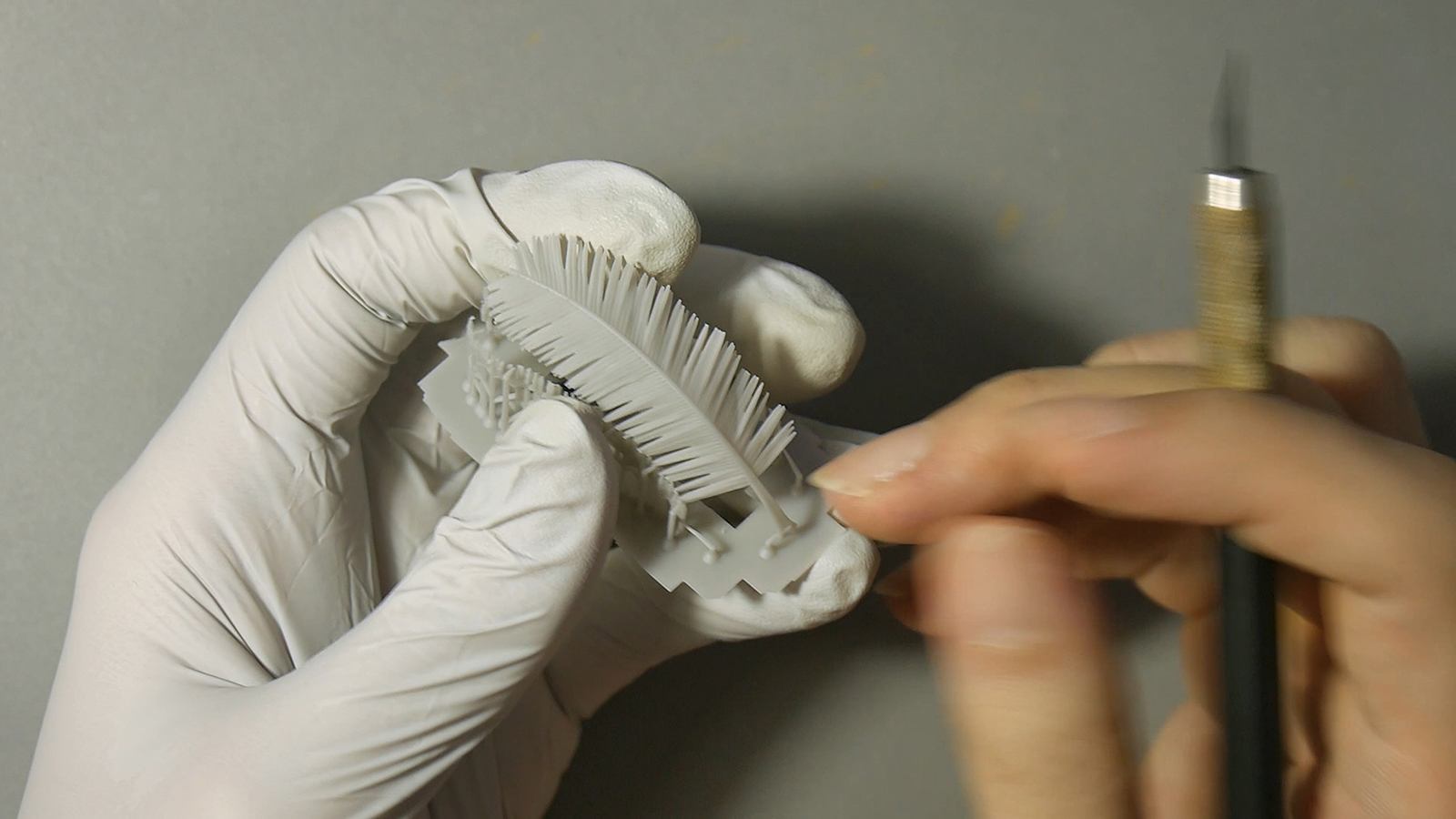 Coconut palm trees for 3D print