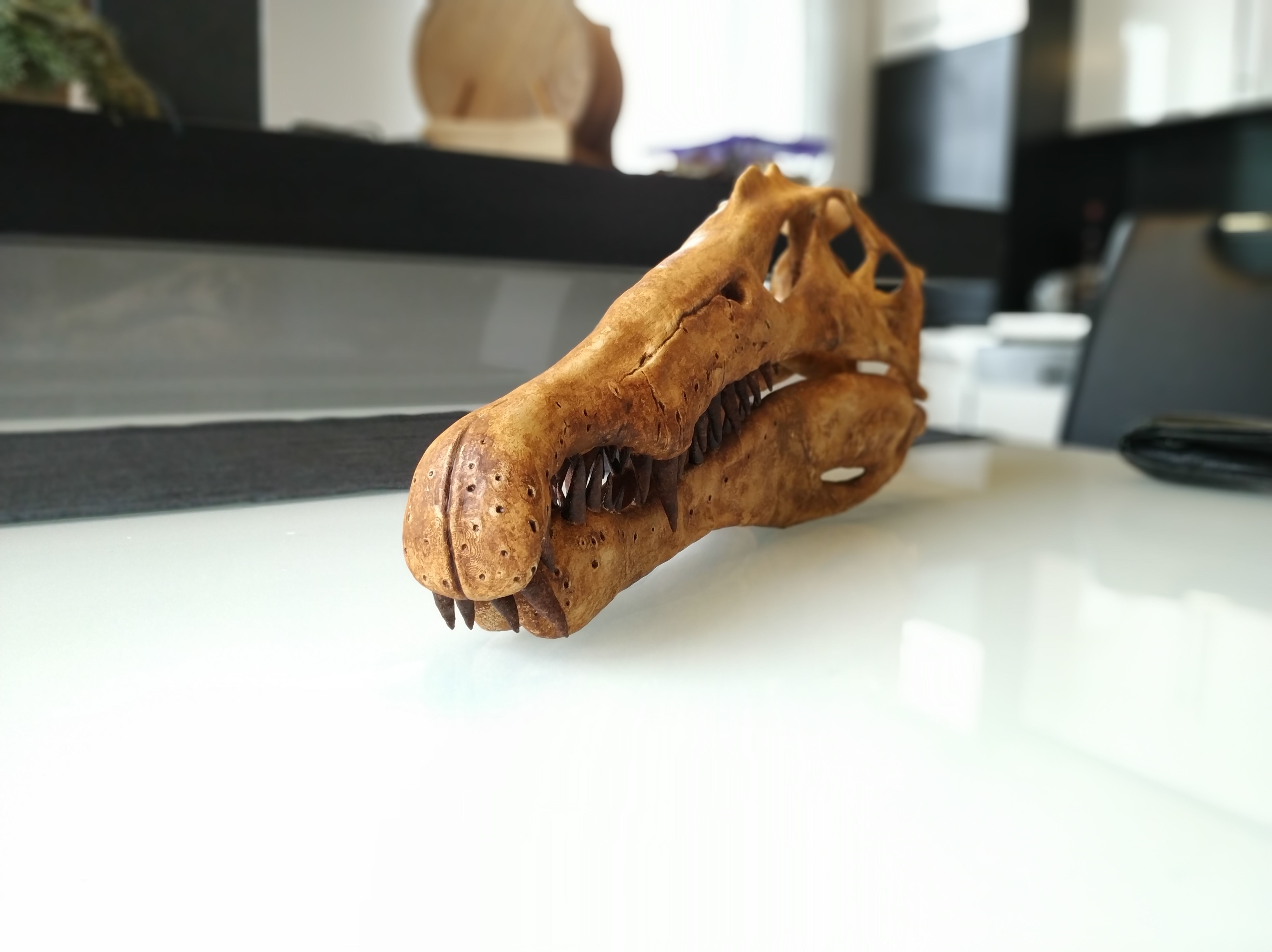 Spinosaurus Dinosaur Skull