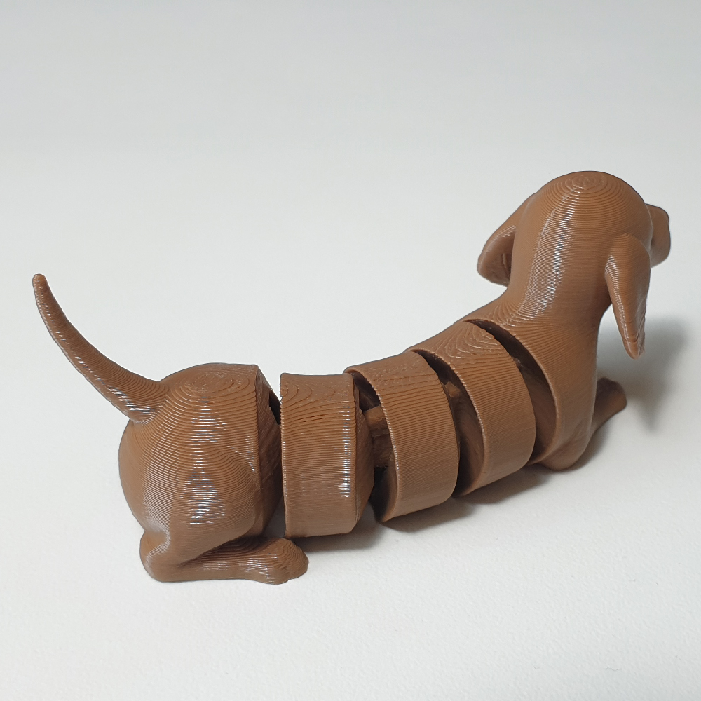 flexi dachshund dog