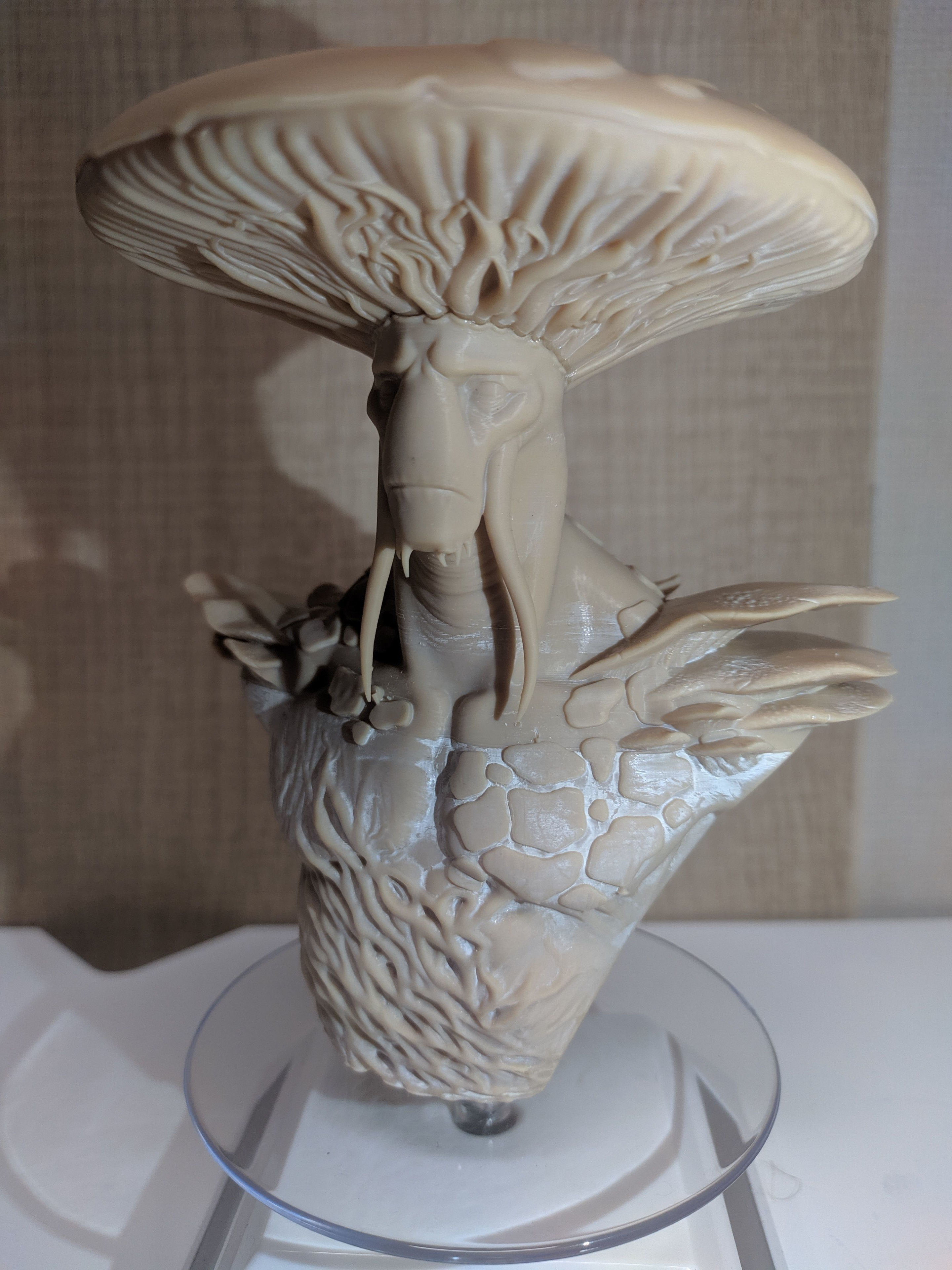 Ancient Mushroom bust