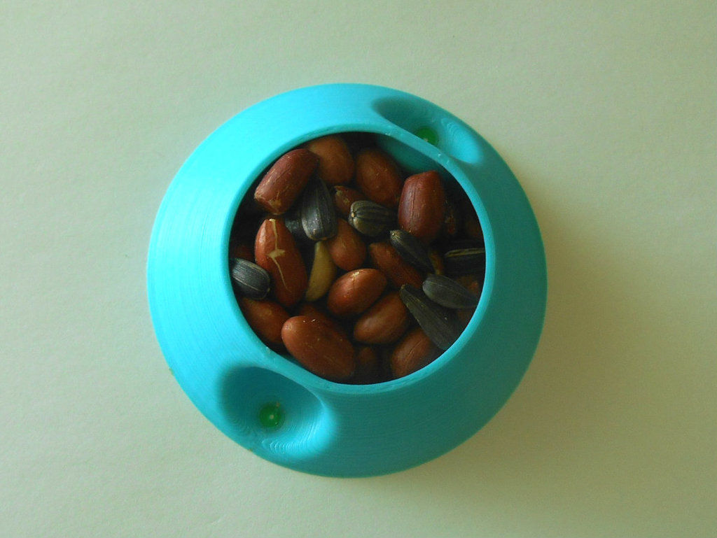 squirrels plate