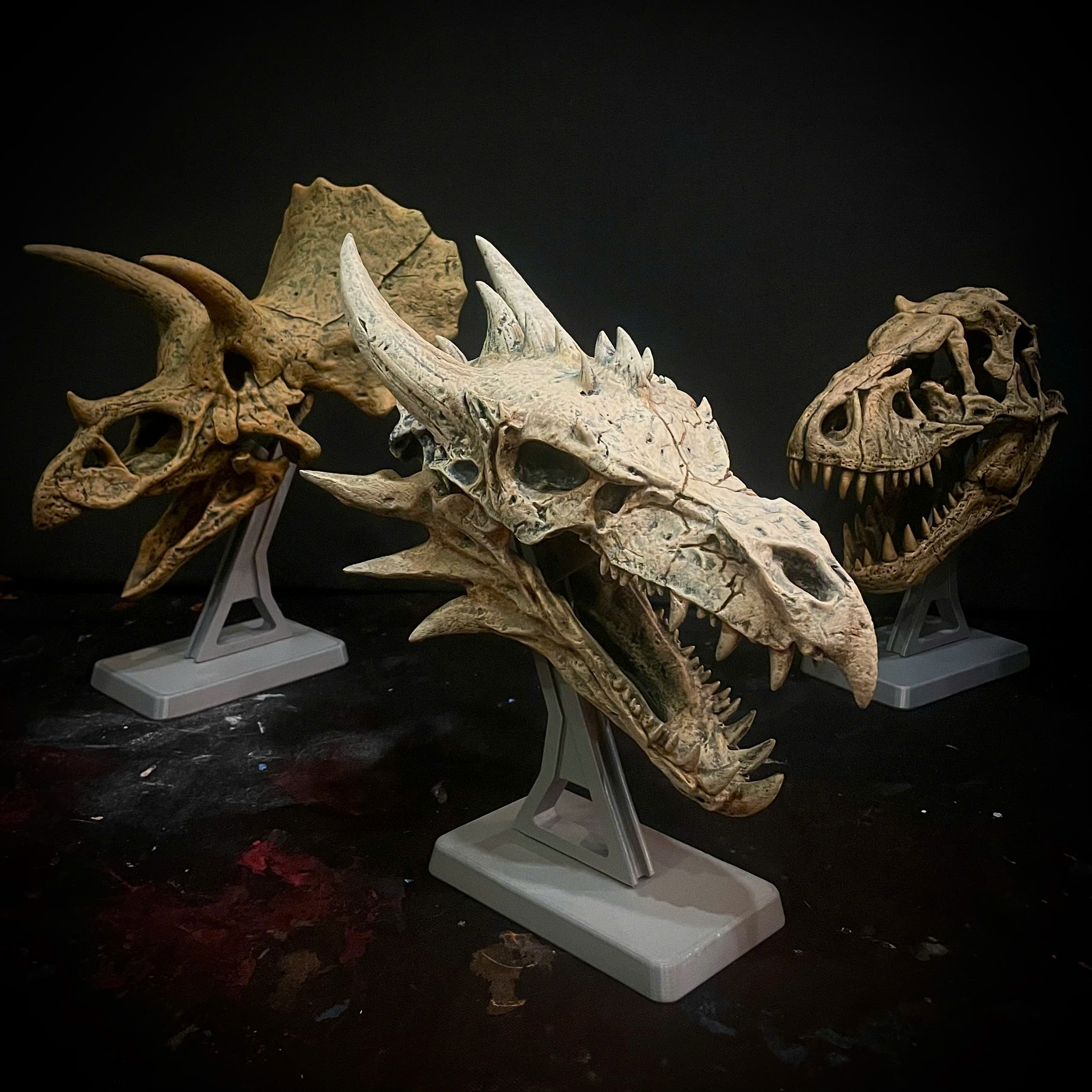 Ancient Bone Dragon - Head Skull Moveable Jaw 